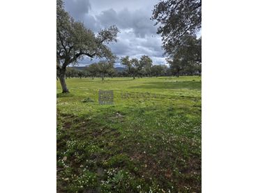 Casa en venta en Oeste