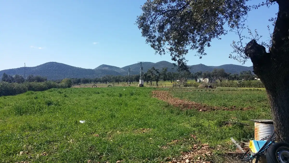Terreno residenziale in vendita a Peñarroya-Pueblonuevo, imagen 20