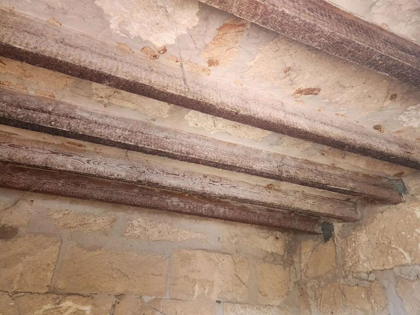 Maison rustique avec jardin à vendre à Muro, imagen 11