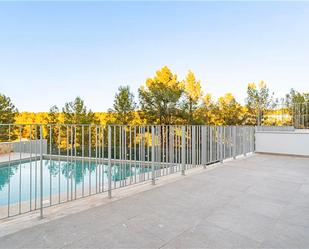 Swimming pool of Planta baja to rent in  Palma de Mallorca  with Air Conditioner, Heating and Terrace