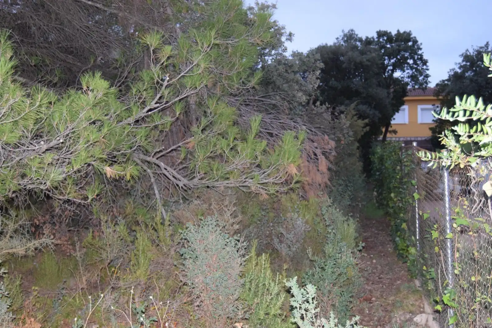 Residential land for sale in Calle NUEVA SIERRA AH, imagen 4