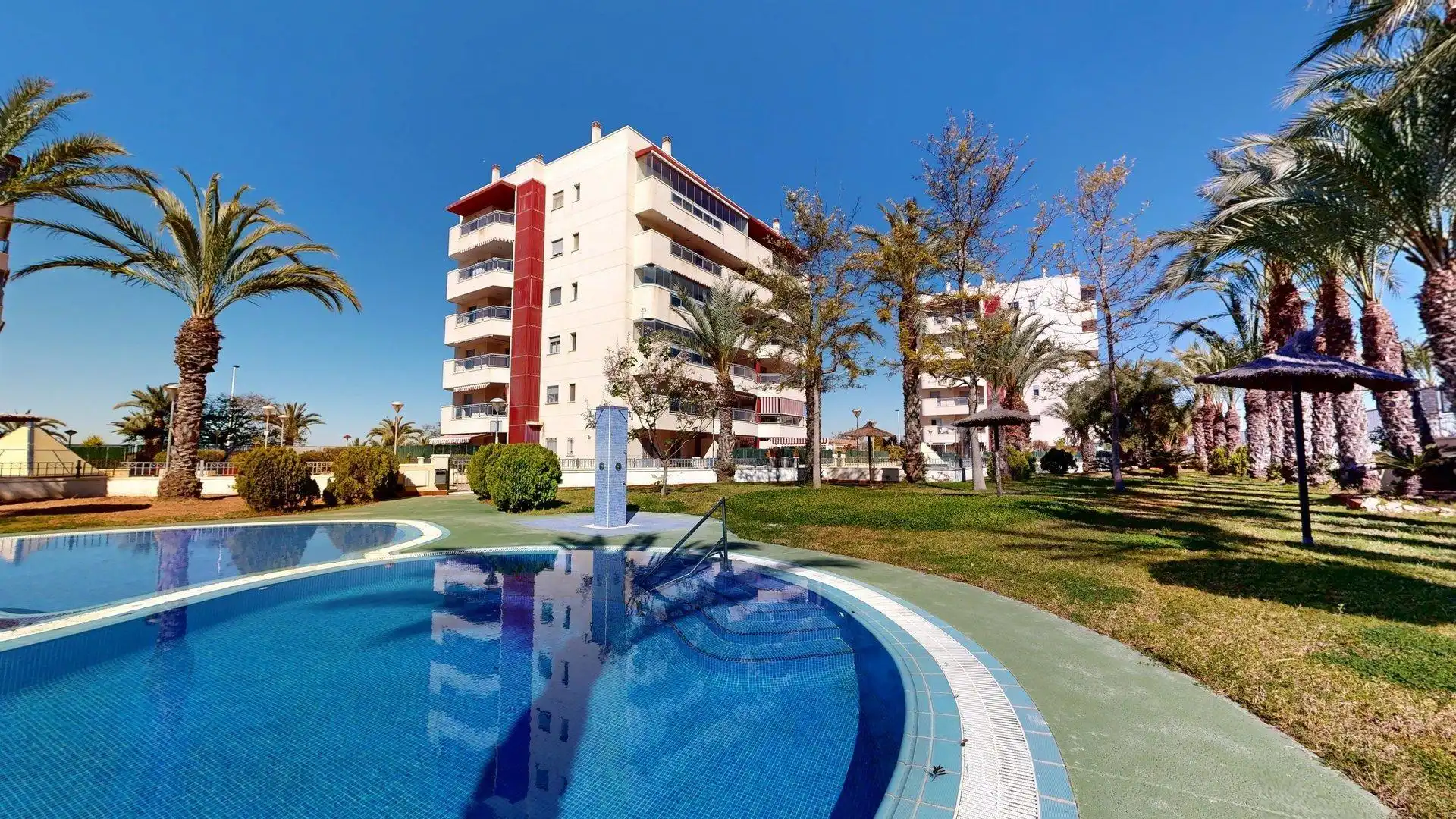 Swimming pool of Apartments for rent in Elche / Elx  with Air Conditioner, Heating and Private garden