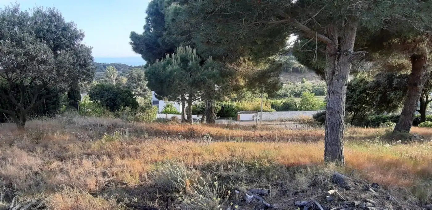 Wohnbaugrundstück zum Verkauf in Carrer Cami de Canet 131, imagen 11