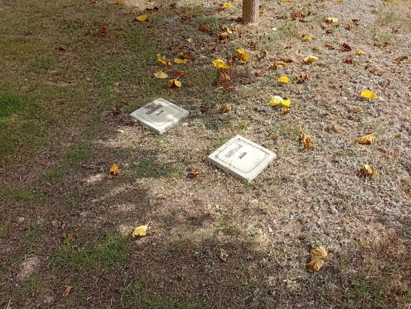 Maison avec jardin à vendre à Xaló, imagen 9