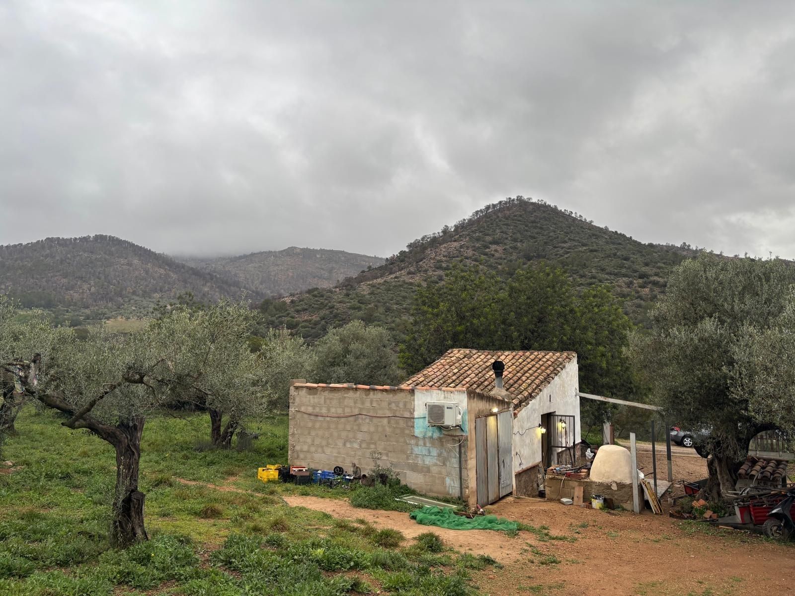 Finca rústica en venta en Alfara de Carles con Aire acondicionado, Trastero y Amueblado