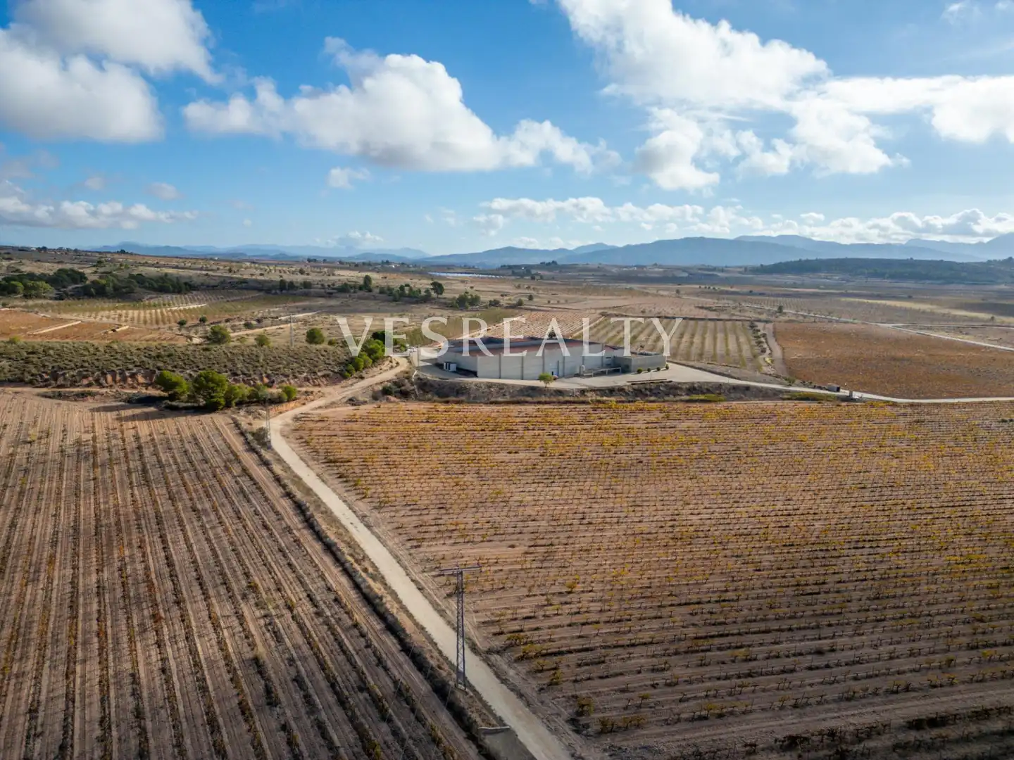 Landhaus zum Verkauf in Carretera Carretera de Jumilla, km 13, imagen 6