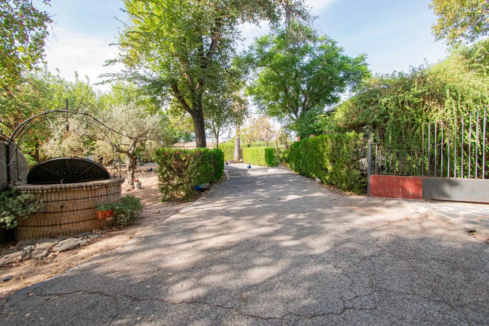 Außenansicht von Country house zum Verkauf in Mairena del Aljarafe mit Terrasse, Schwimmbad und Balkon