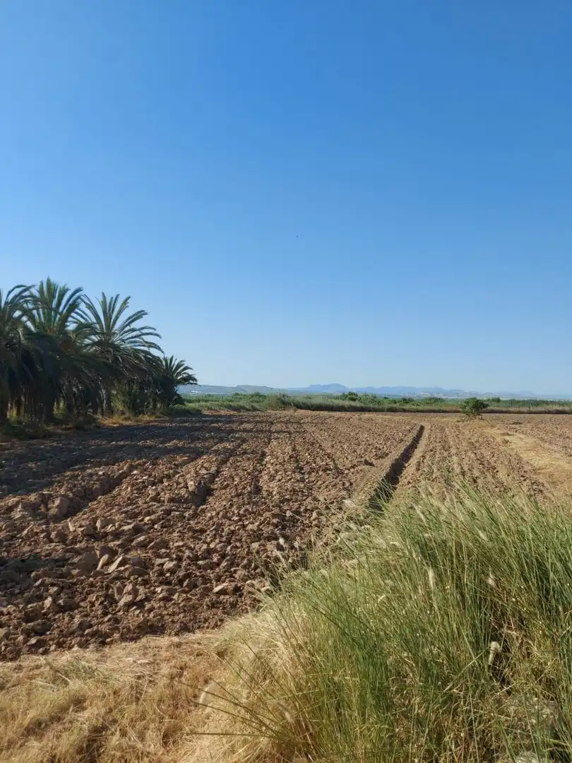 Residencial en venta en Catral