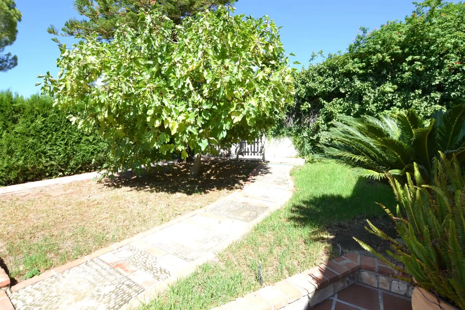 Villa con piscina in vendita a Calle Calle Santa Ana de la Albaida, imagen 38