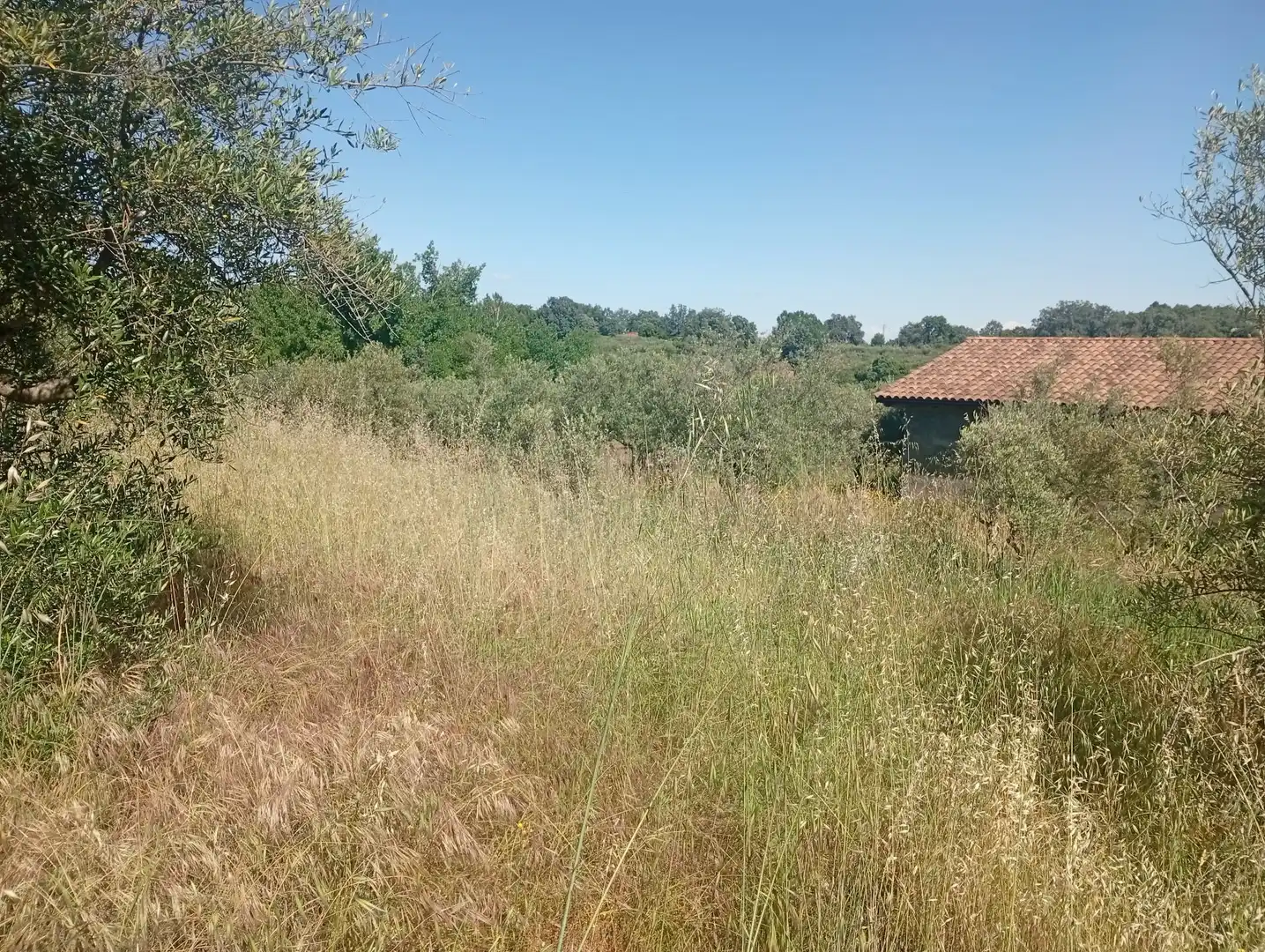 Maison à vendre à Villanueva de la Vera, imagen 75