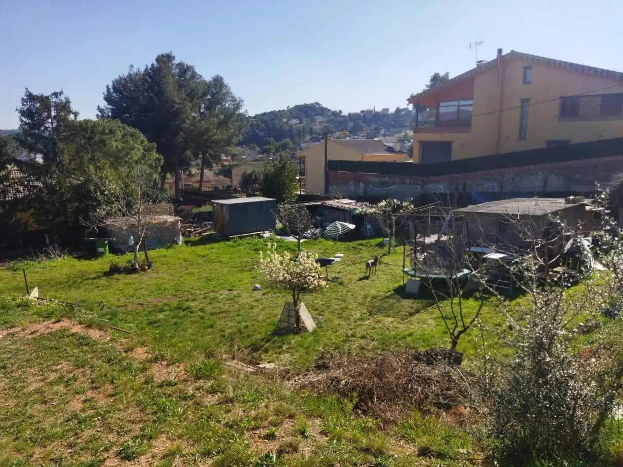 Land for sale in Sant Llorenç Savall