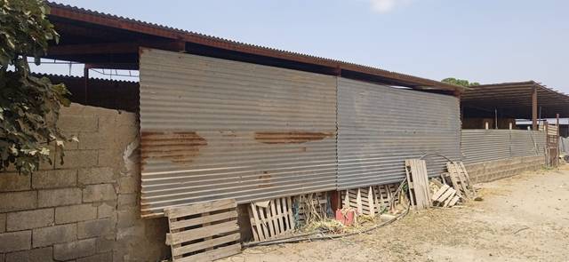 Nave industrial en Alquiler en Camino Rambla de Purias, 2 en Purias