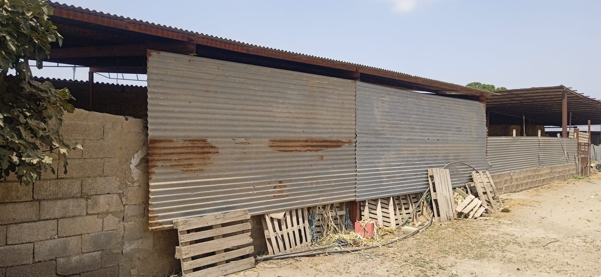 Exterior view of Industrial buildings to rent in Lorca