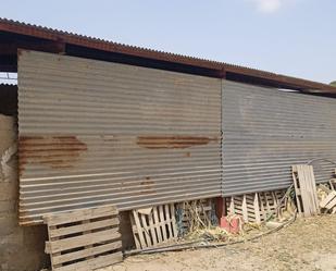 Exterior view of Industrial buildings to rent in Lorca