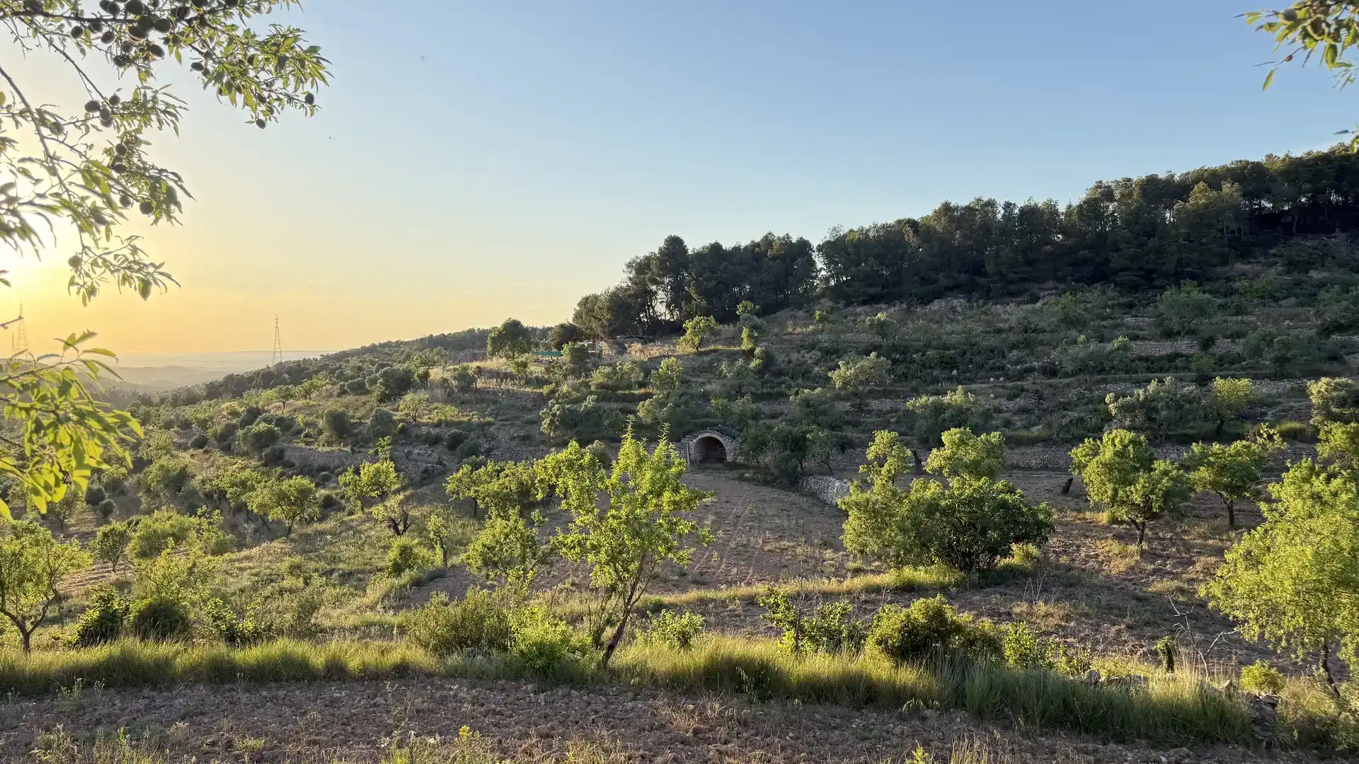 Finca rústica en venda en La Fatarella amb Jardí privat