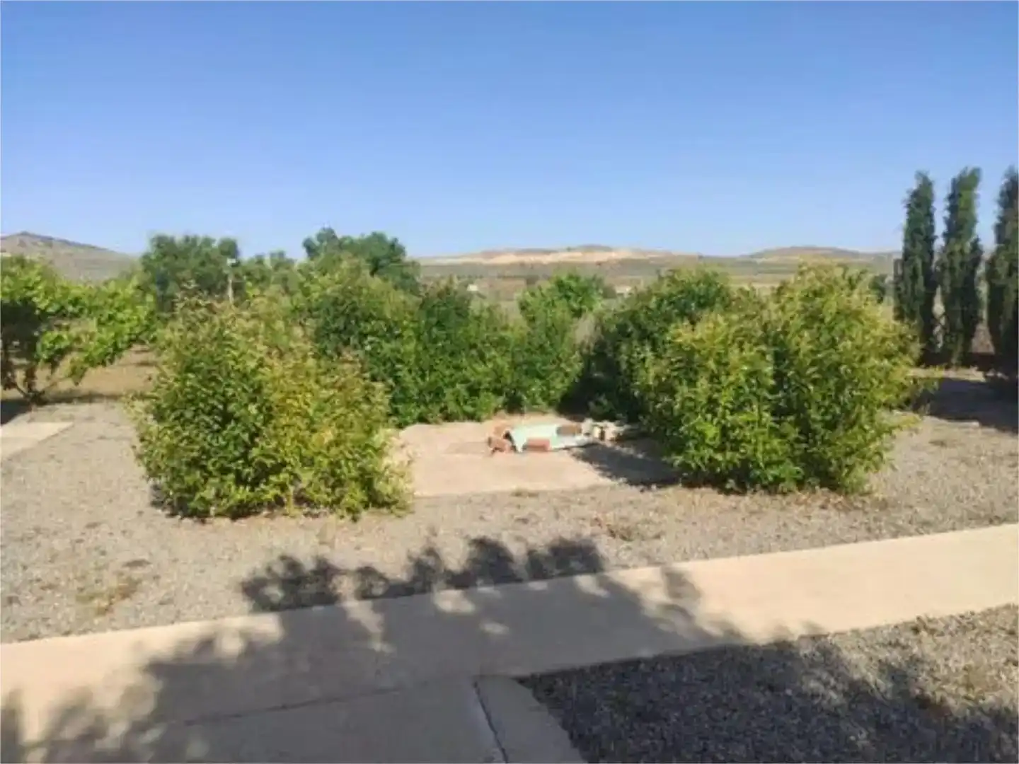 Finca rústica en venda en Consuegra amb Jardí privat i Moblat