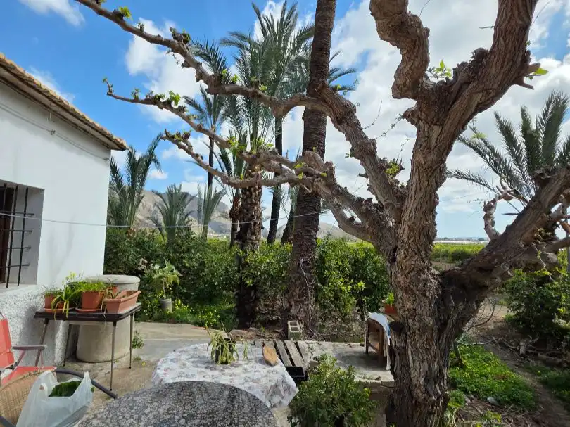 Casa rústica amb piscina en venda a Carrer Carretera R Bon 44, imagen 4
