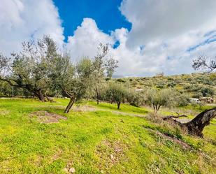 Land for sale in Periana