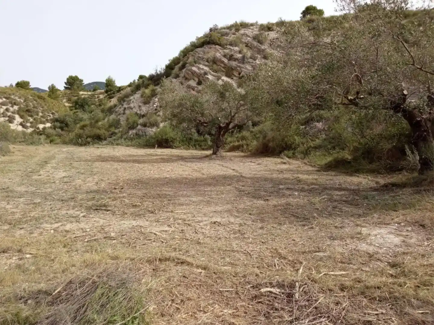 Terreno en venta en Busot