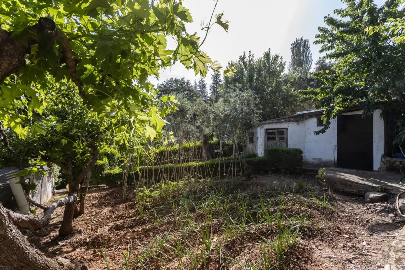 Jardín de Casa o chalet en venta en Dúdar con Aire acondicionado, Calefacción y Jardín privado