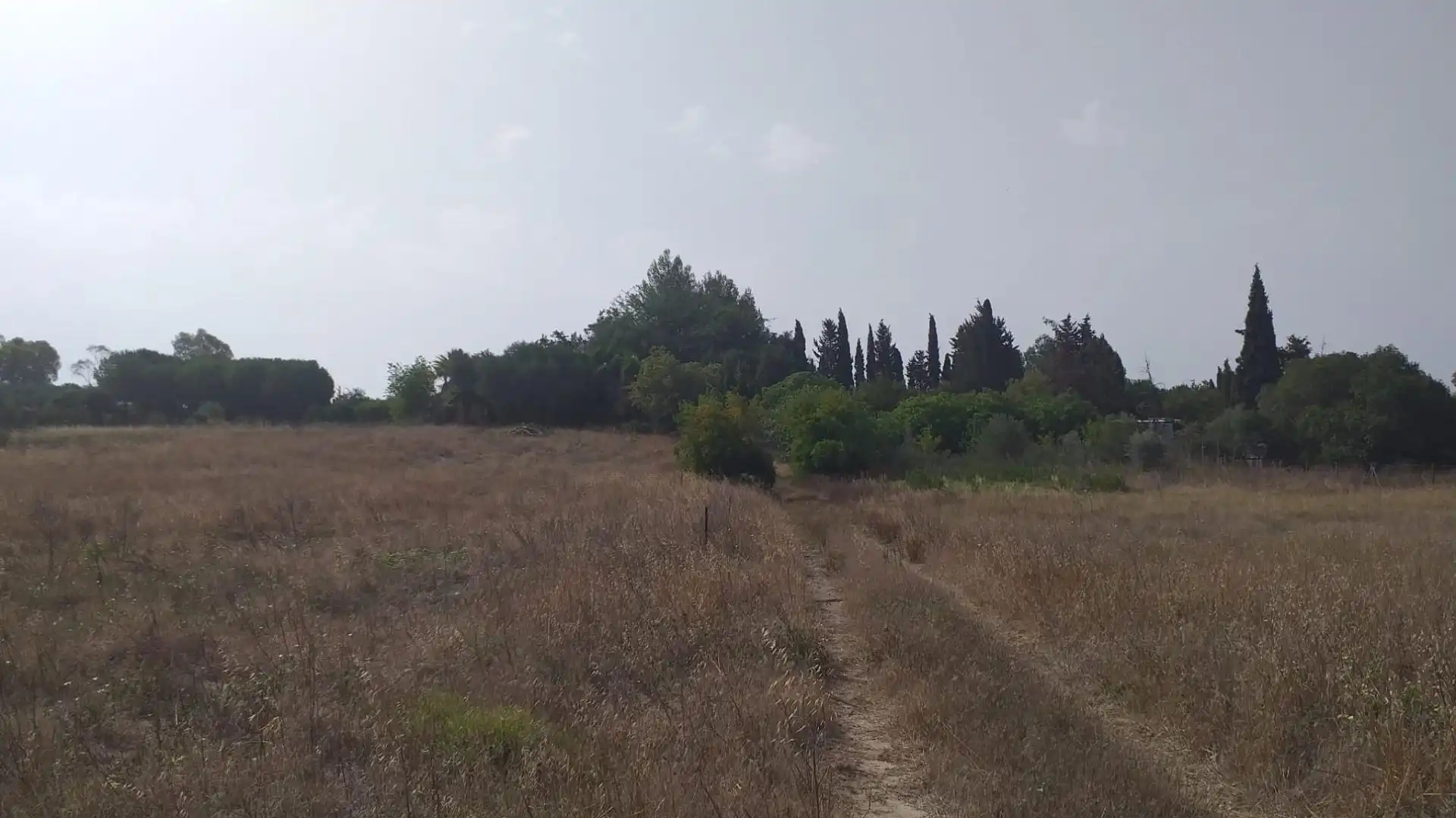 Rural land for sale in El Rocío - La Milagrosa, imagen 7