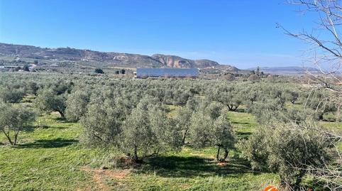 Photo 4 of Residential for sale in Doctor Diego Aragón, Fuentemora, Málaga