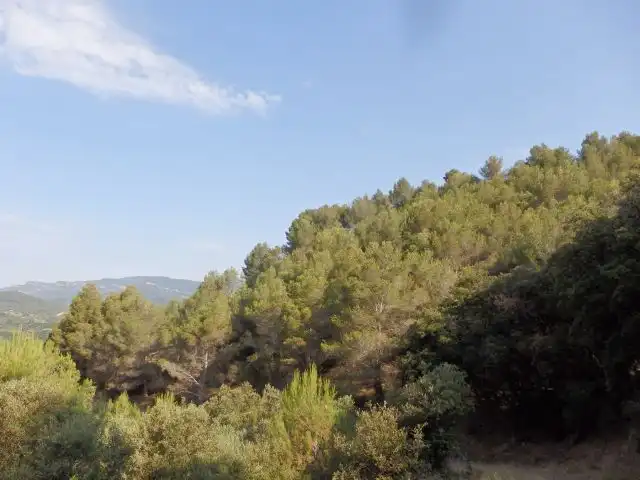 Terreno en venta en L'Aleixar