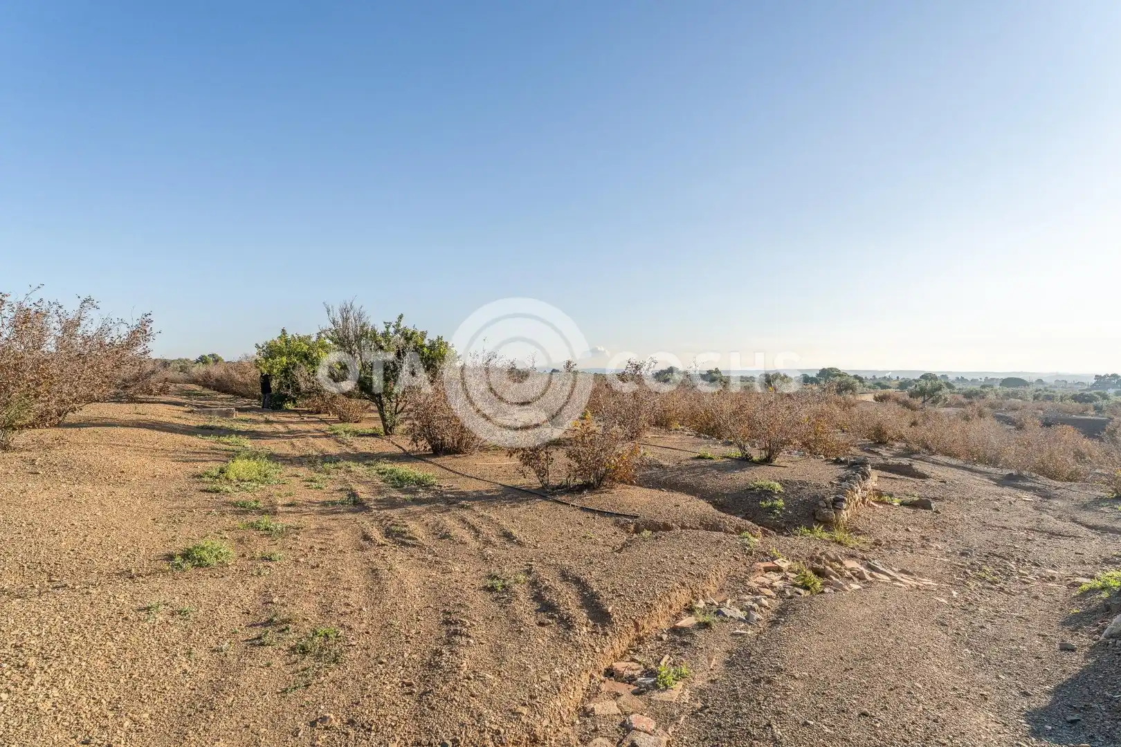 Finca rústica en venta en Castellvell del Camp