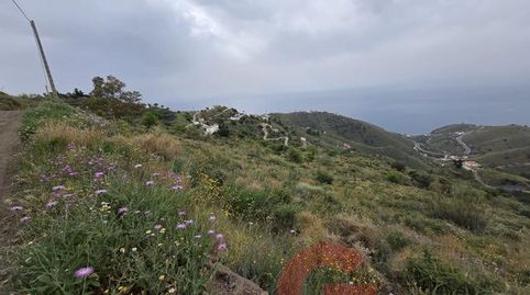 Foto 4 de Finca rústica en venta en Monte los Almendros - El Pargo - Costa Aguilera, Salobreña