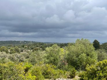 Country house for sale in LAS POLAS