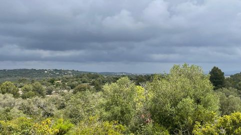 Finca Rúst. en venta en Calig.