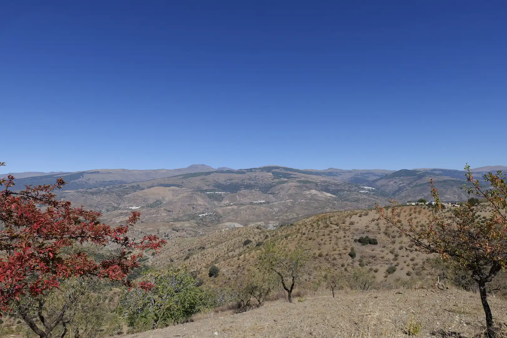 Vista exterior de Finca rústica en venta en Cádiar