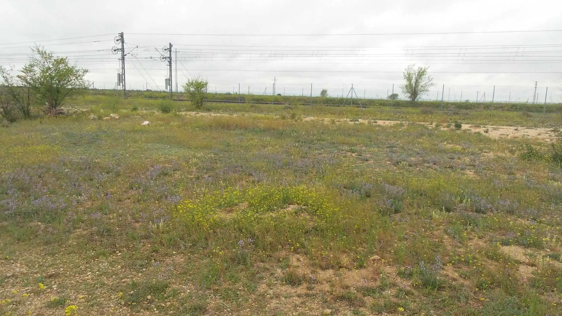 Terreny residencial en venda a Albasol