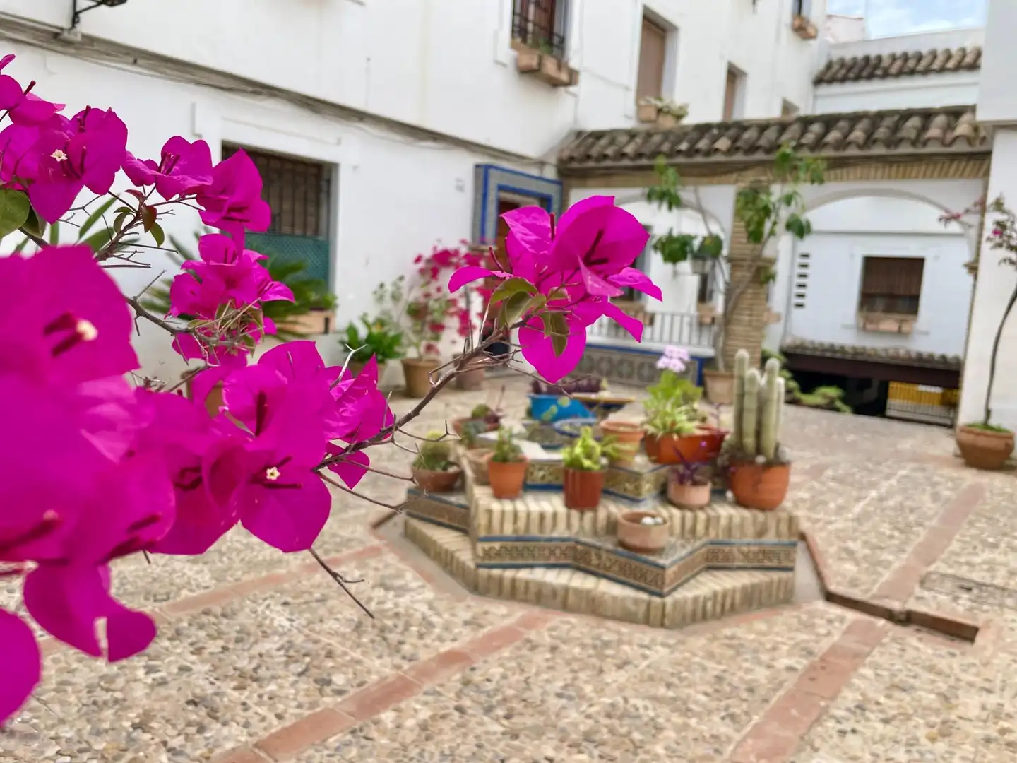 Wohnung zur Miete in Zona Centro, Centro