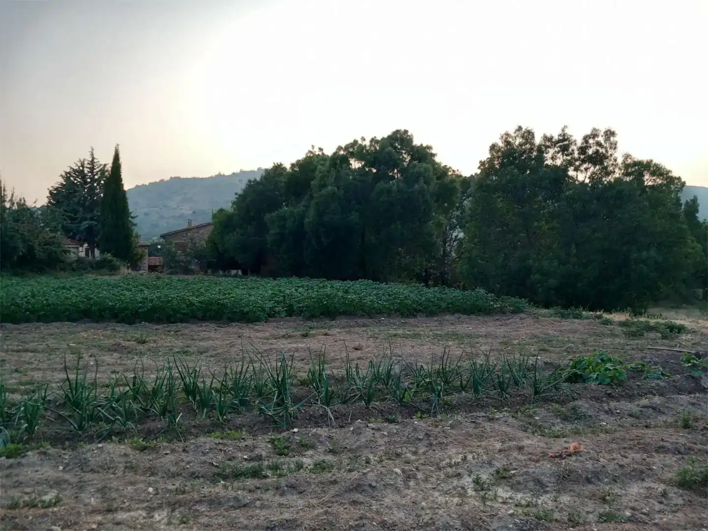 Residencial en venda en Prádena del Rincón, Madrid