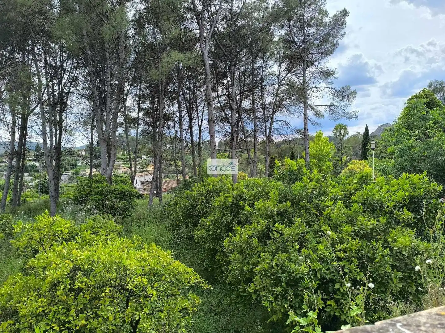 Chalet con piscina en venta en Xàtiva, imagen 11