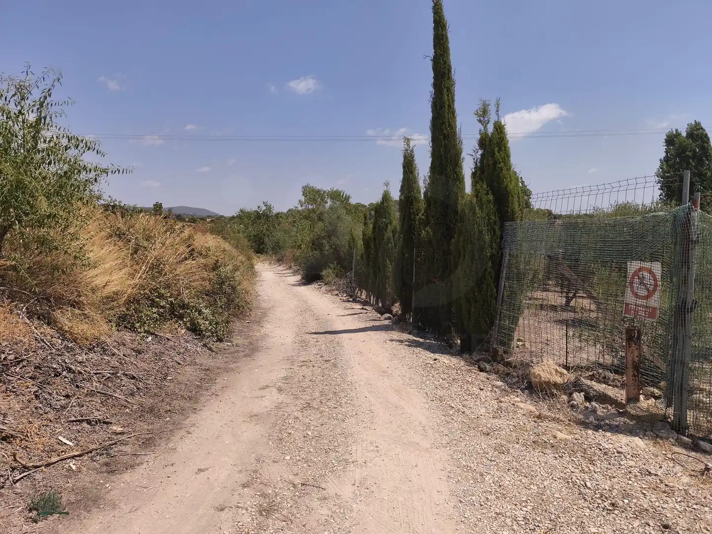Rustikales Grundstück zum Verkauf in Sant Jaume dels Domenys, imagen 32