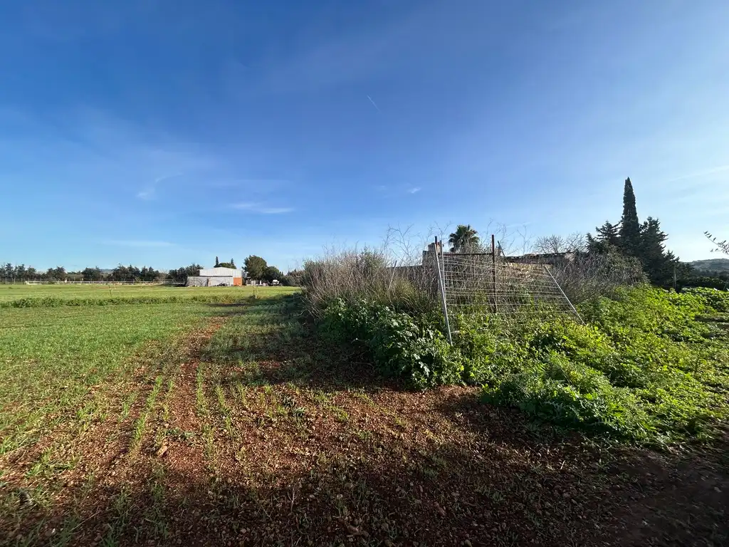 Land for sale in Muro