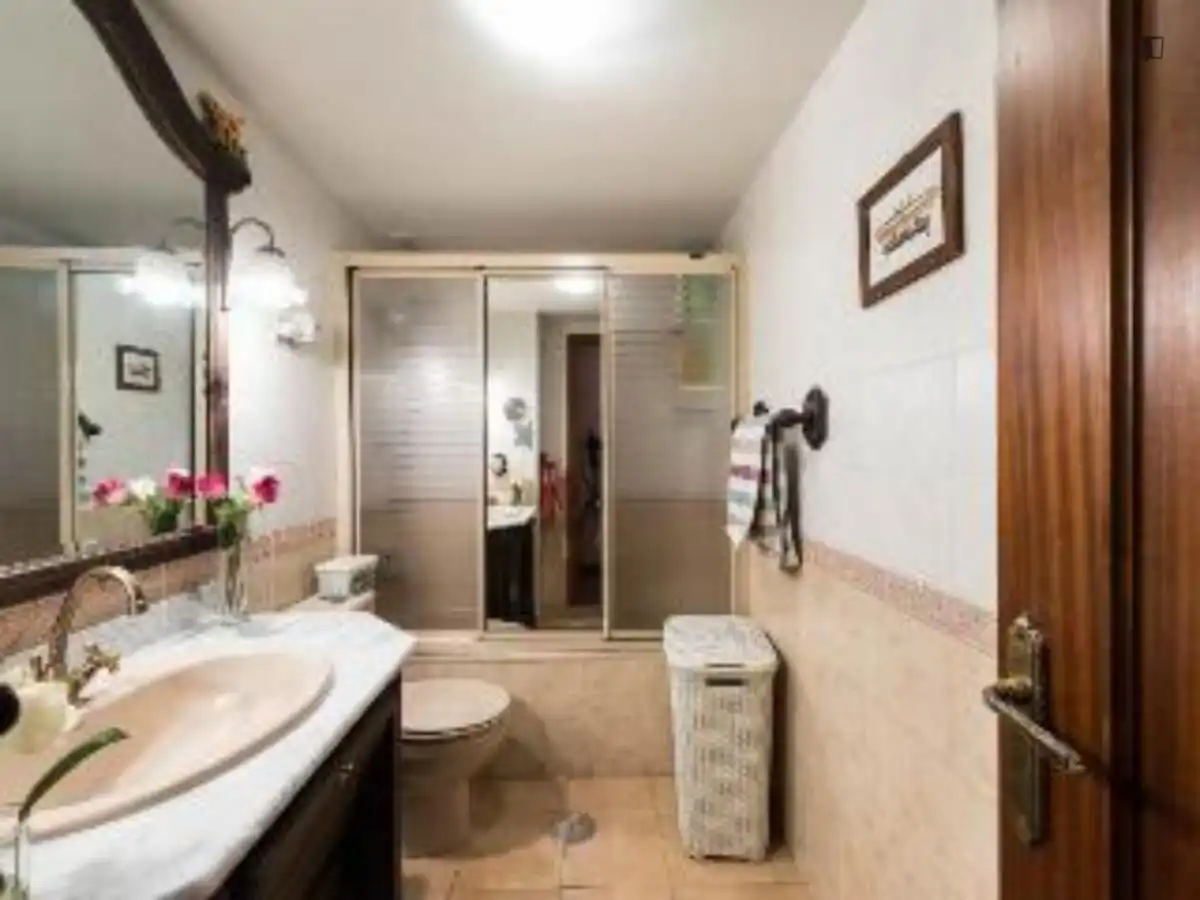Bathroom of Apartments for rent in Madrid  with Air Conditioner, Heating and Furnished
