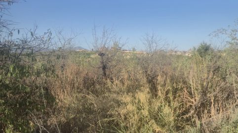 TERRENO AGRARIO- VILLANUEVA DEL SEGURA , GRAN OPORTUNIDAD!!!