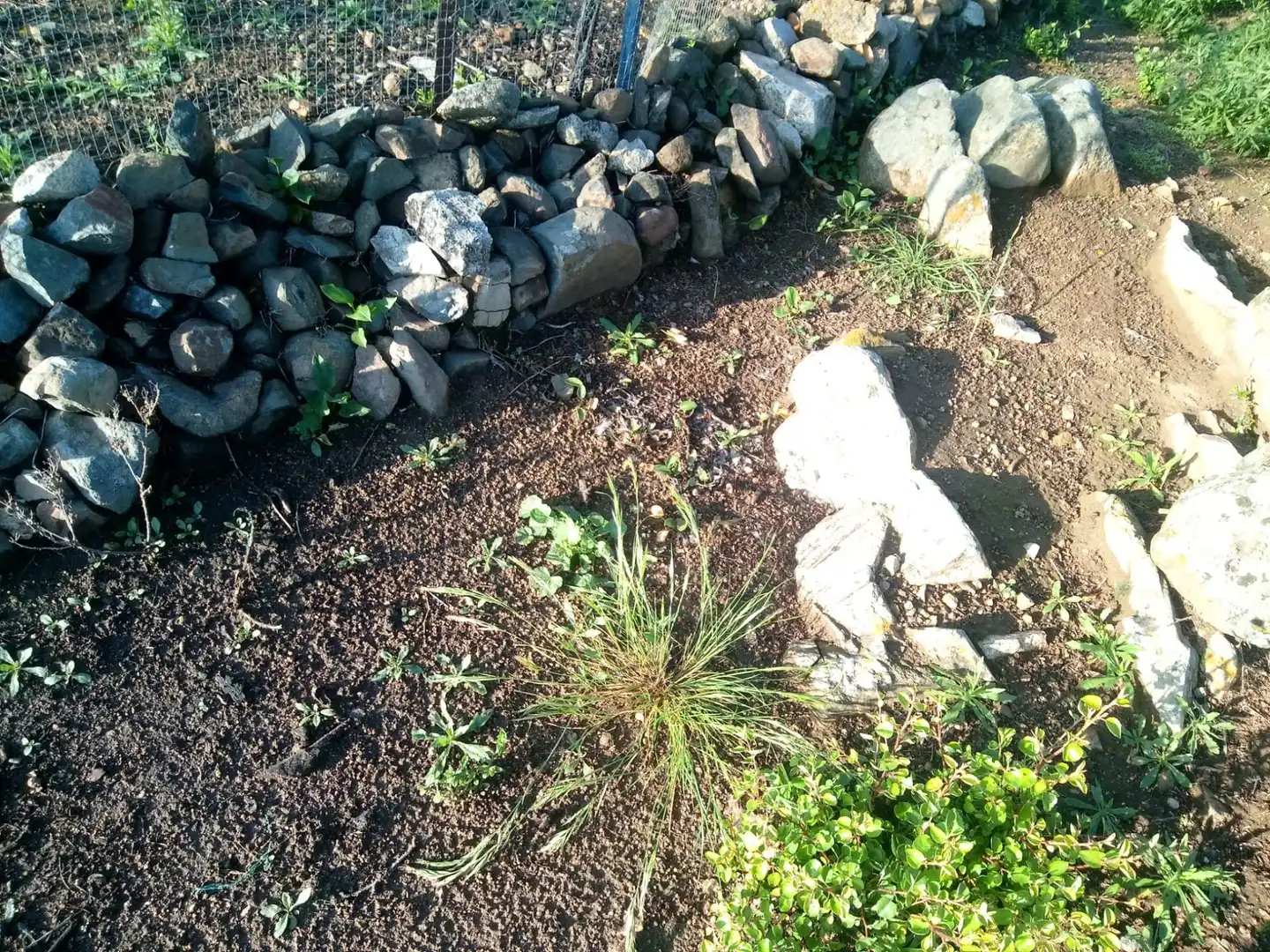 Terreni e lotti in vendita a Castilblanco de los Arroyos, imagen 20