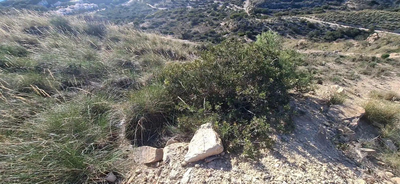 Residential land for sale in Pueblo Español - Coveta Fumá, imagen 3
