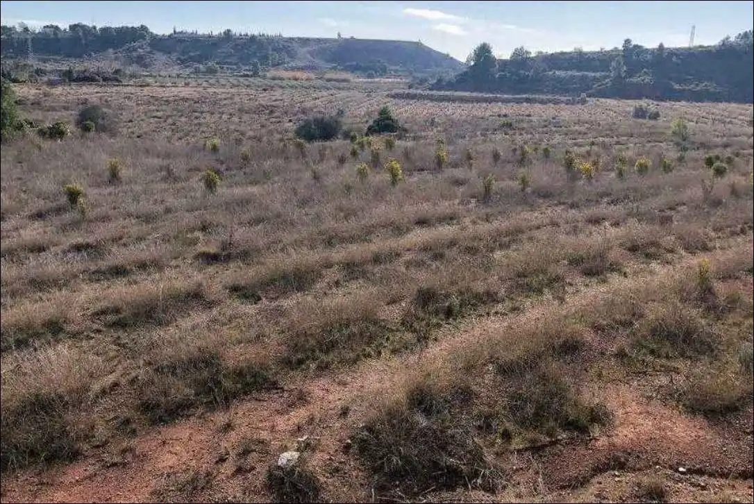 Rural land for sale in Pr Fuente de la Morera, imagen 7