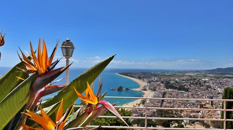 Casa de Ensueño en SANT JOAN Blanes, immagine 2