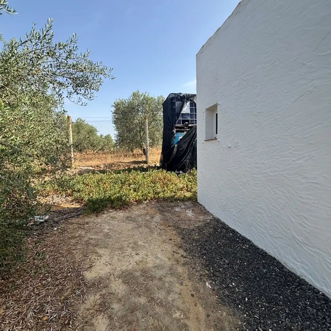 Finca rústica en venda en Almonte