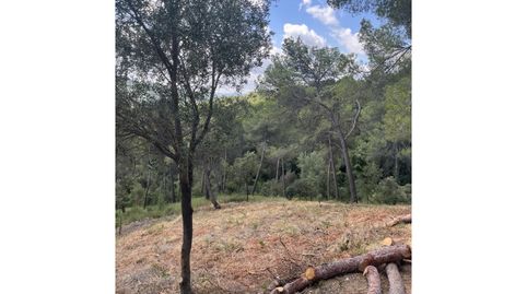 Parcela Venta Viladecavalls, imatge 5