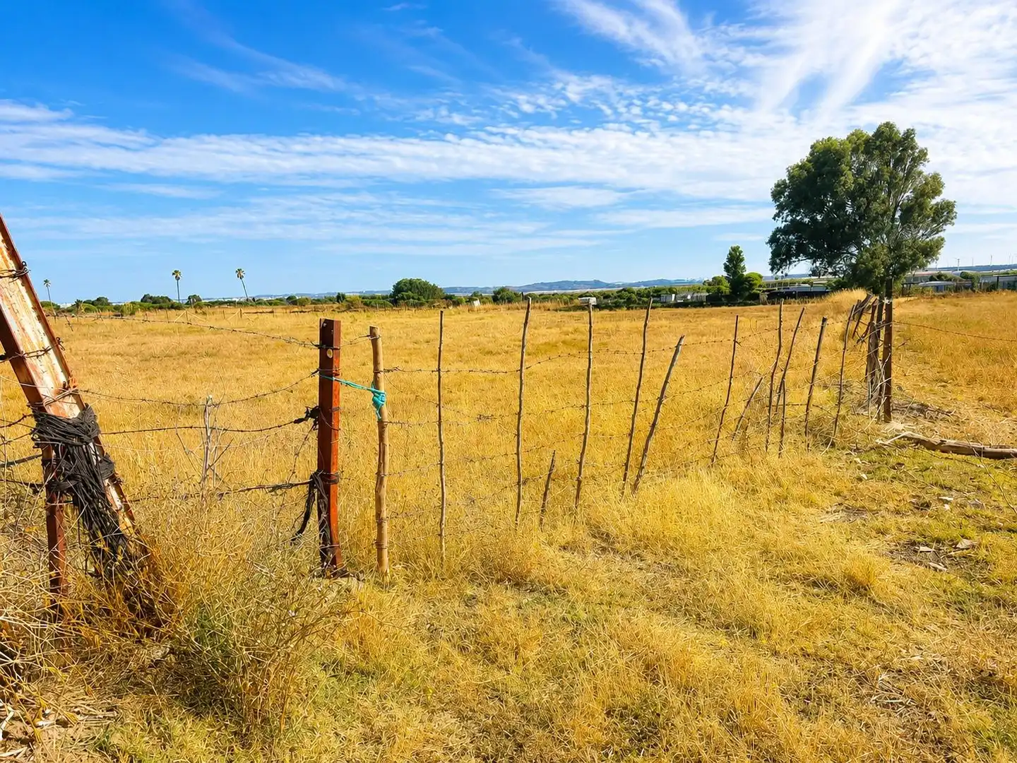 Finca rústica en venta en Chiclana de la Frontera
