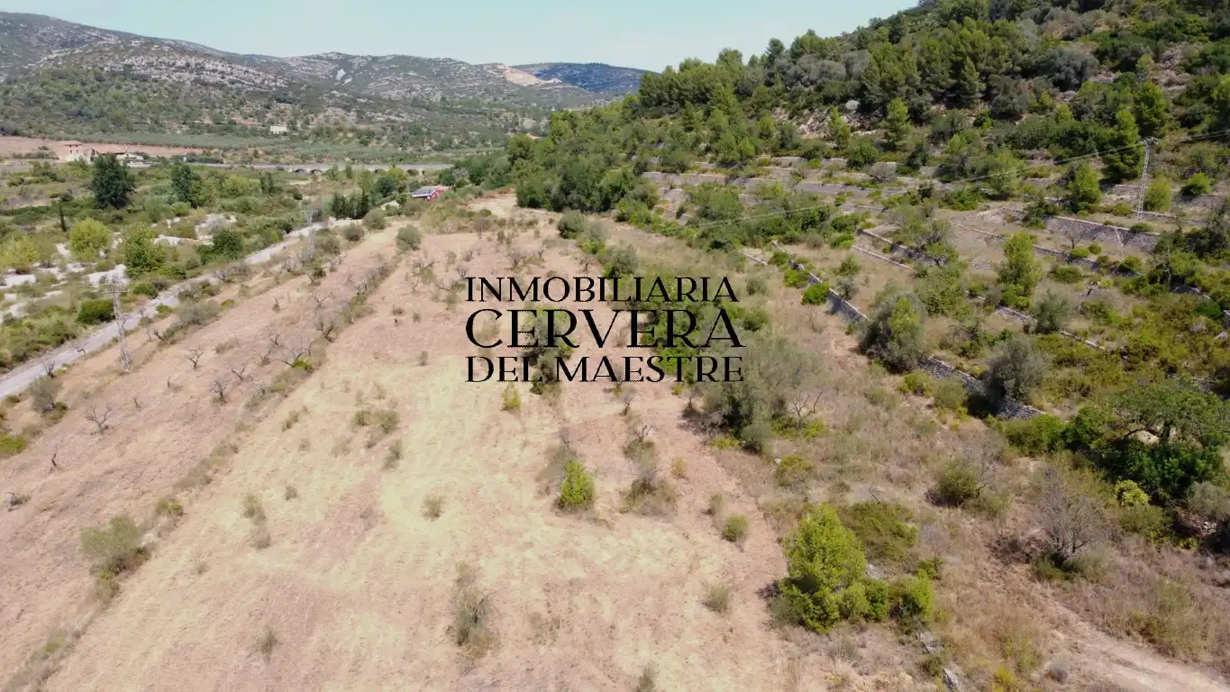 Terreno rustico in vendita a Cervera del Maestre, imagen 4