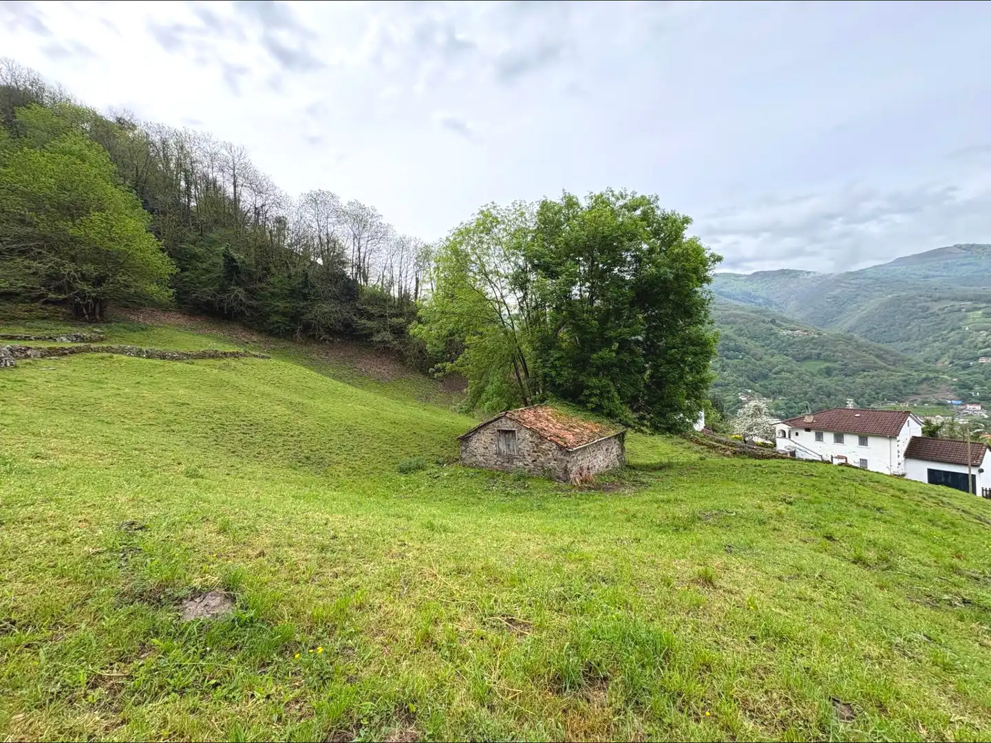 Houses for sale in Aller  with Private garden
