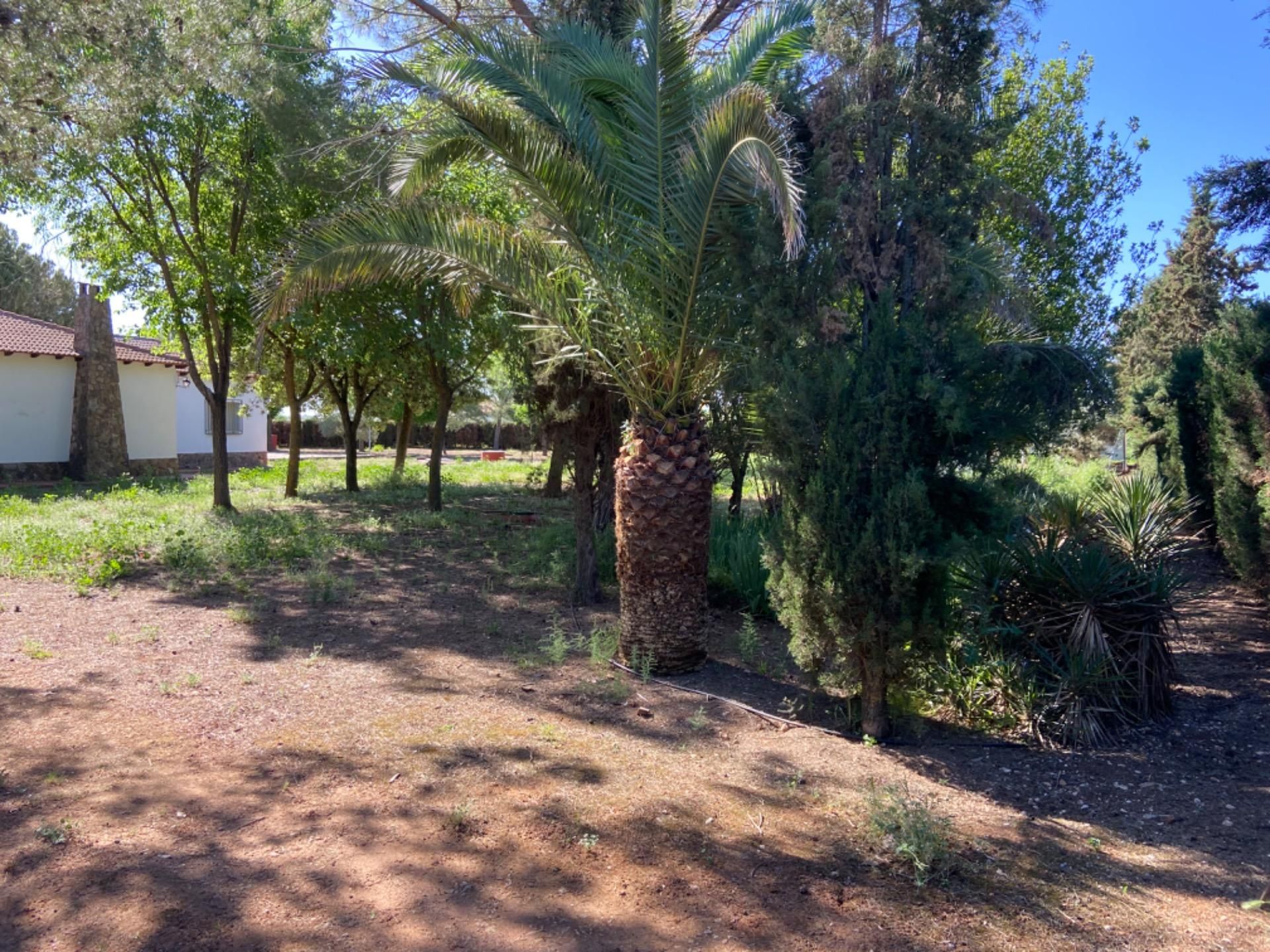 House or chalet for sale in Ciudad Real Capital  with Air Conditioner, Private garden and Terrace